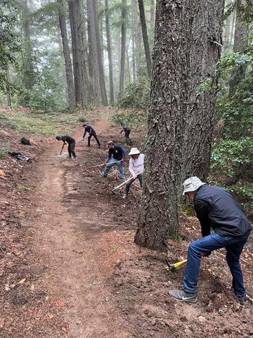 Volunteers working at clearing a trail