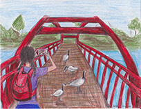 A girl taking a pictures of ducks on a red bridge