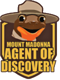 Mount Madonna Agent of Discovery an illustration of a lizard with a parks hat on its head