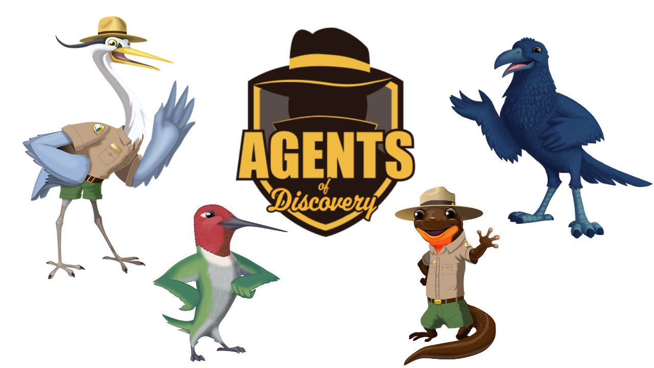 Agents of Discovery logo with 4 animal avatars including a heron, hummingbird, newt, and raven
