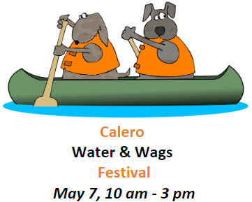 Calero Water & Wags Festival