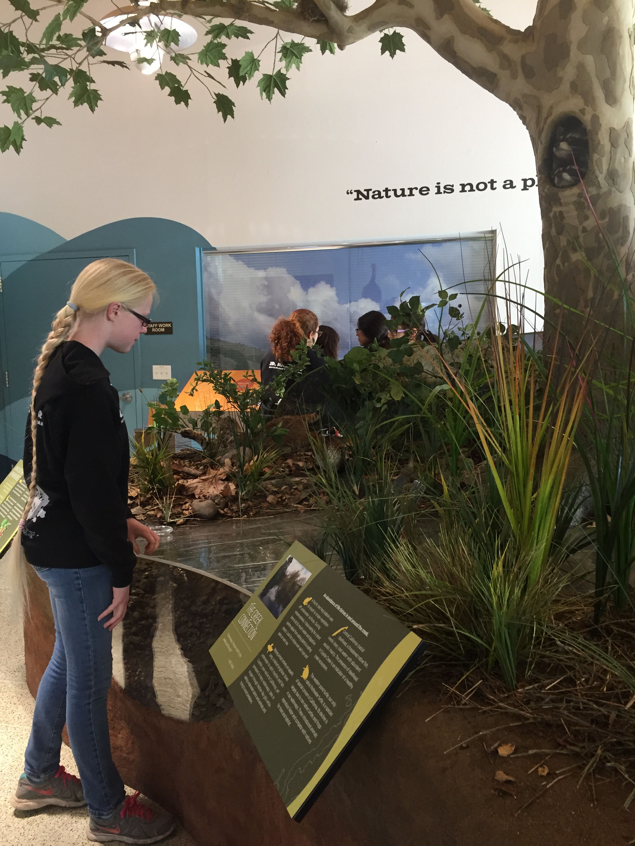 Person looks at diorama inside Anderson Visitor Center