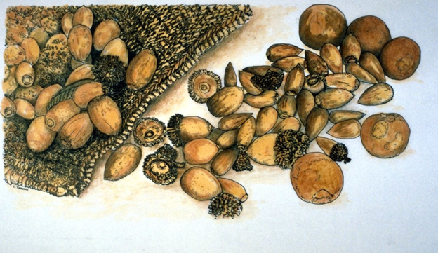 A picture containing fruit, nut, arranged