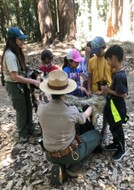 A ranger is educating children in a redwood forest