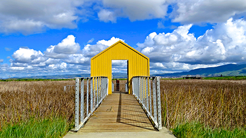 Bridge with a yellow covering on a blue sunny day in Alviso Marina County Park