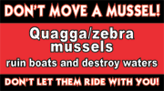 Warning message: "Quagga/Zebra mussels ruin boats and destroy waters"