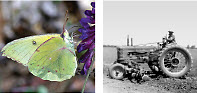 Butterfly and tractor images
