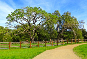 Rancho San Antonio trail