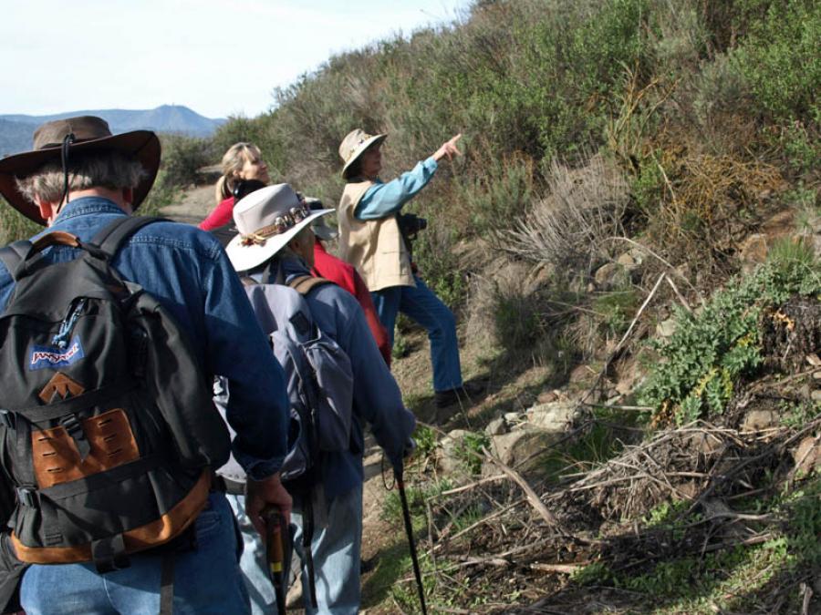 Docent pointing at plants on a guided hike