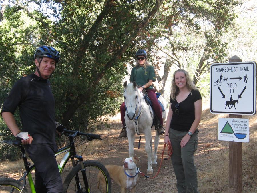 Equestrian, hiker with dog, and biker on a trail