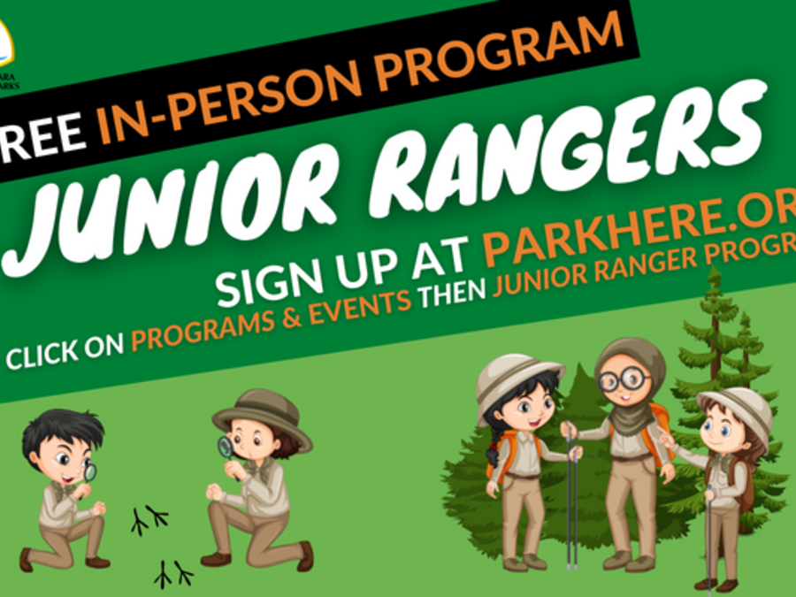 A green flyer advertising Jr. Ranger program with cartoon youth enjoying time outdoors