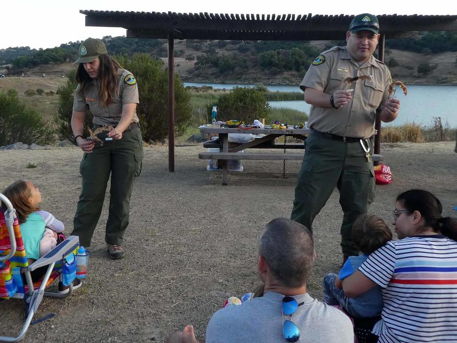 Two Park interpreters showing bat taxidermy to visitors during a campfire program at Calero.