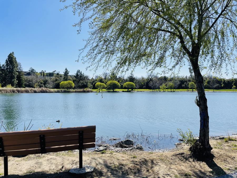 Hellyer Cottonwood Lake view with bench
