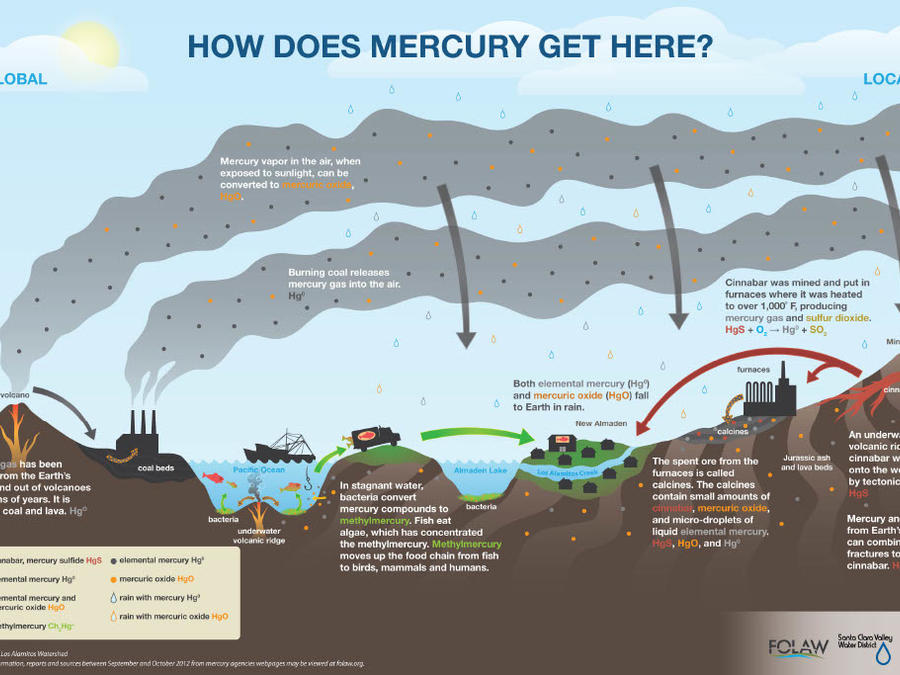 Interpretive panels describing the environmental impacts and remediation of mercury mining.