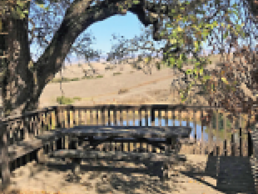 a picnic table under a tree on the Los Cerritos Pond Loop