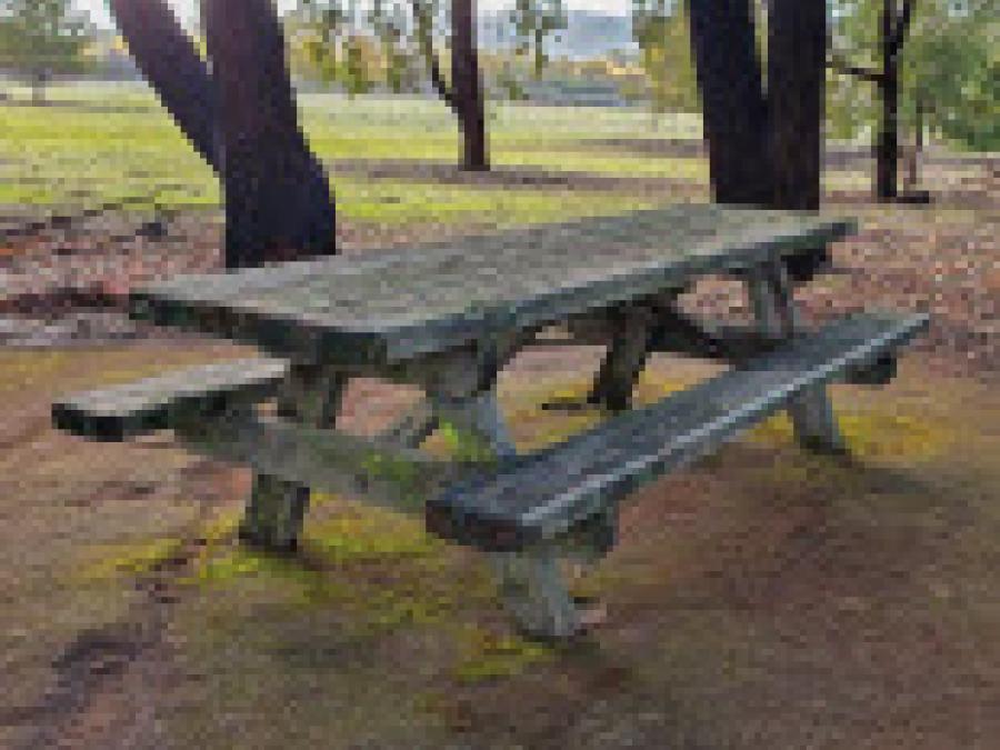 picnic table on the Coyote Creek Trail