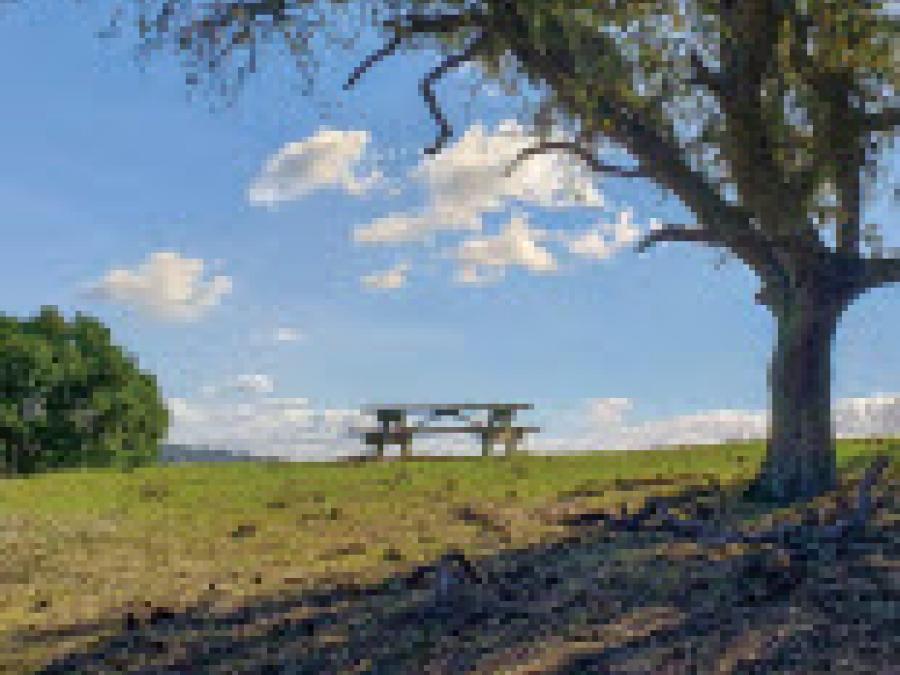 picnic table and trees on the Medoza to Rancho La Polka Trail