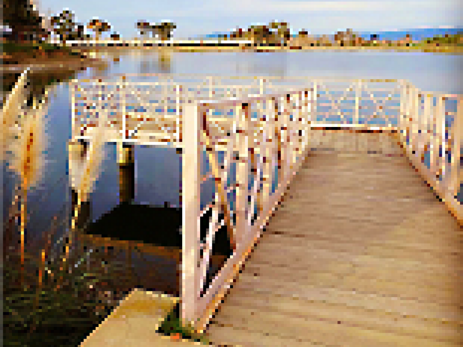 dock in Los Gatos Creek