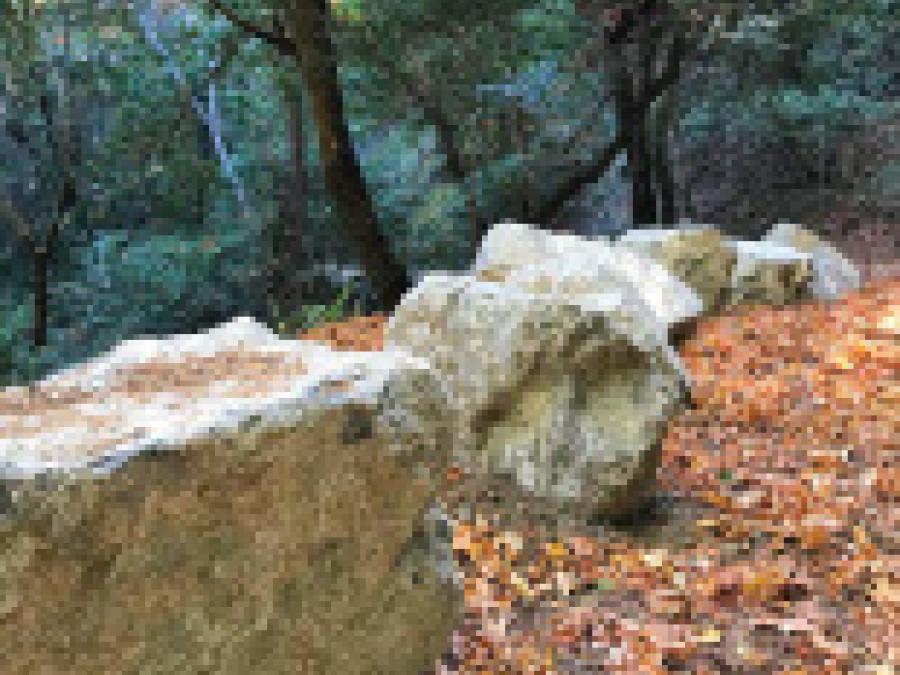 a line of stones on the Grizzly Flat Trail