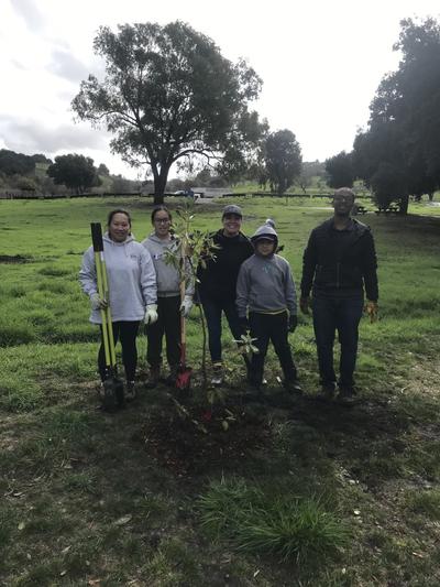 five volunteers surrounding a newly planted tree