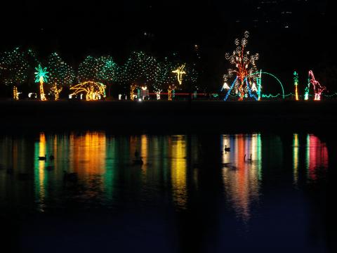 FOL lights across water