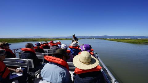 Salt Marsh Safari boat tour