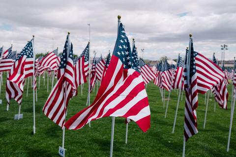 Veterans day memorial flags on a green lawn. 