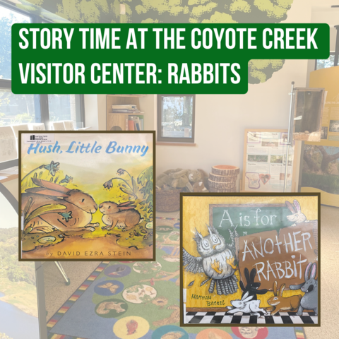 A flyer describing the details of the March 30 story time at the Coyote Creek Visitor Center, with covers of picture books "Hush, Little Bunny" and "A is for Another Rabbit" featured on the flyer.