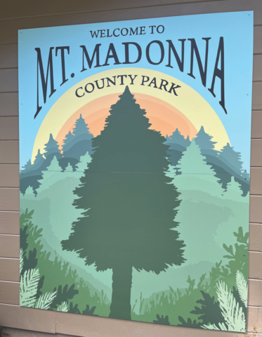 Coast redwood centered on poster with text "Welcome to Mt. Madonna County Park" in background