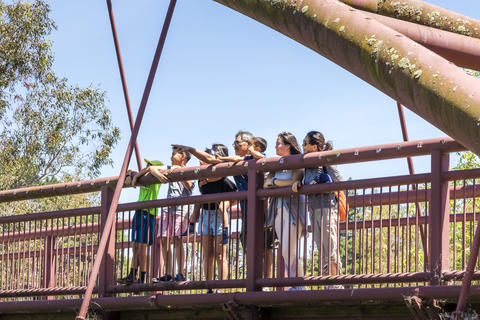 Family standing on red bridge at Vasona, looking and pointing into distance