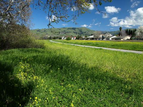 View of a paved trail with grassy fields in Penitencia Creek