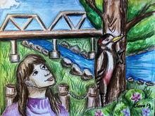 drawing by claire of child in purple crew neck sweater gazing at a woodpecker in a tree with a bridge in background, grass, and a rock lined stream. 