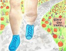 shivaani's colorful watercolor shows someone walking on a trail wearing shorts and blue sneakers. the trail is grey and white, with abstract poppies and lupine dotting the area next to the trail. the sign says stay on trail