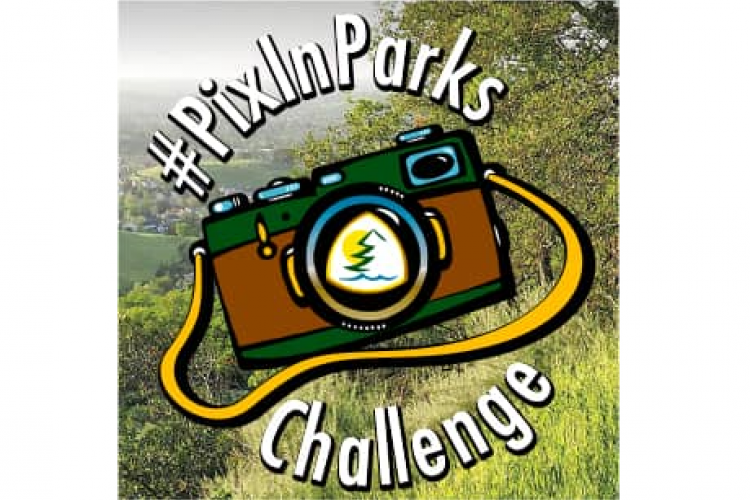 #PixInParks Challenge Icon