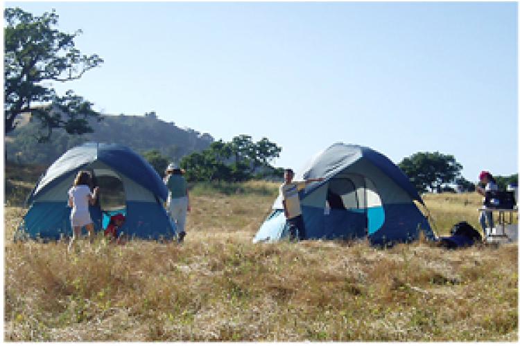 Tents set up in a field